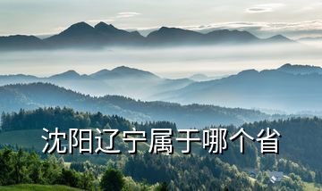 沈陽(yáng)遼寧屬于哪個(gè)省