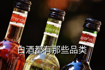 白酒都有那些品類