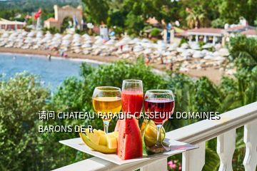 請(qǐng)問(wèn) CHATEAU PARADIS CASSEUIL DOMAINES BARONS DE R