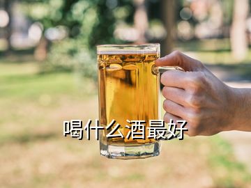 喝什么酒最好