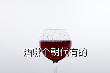 酒哪個(gè)朝代有的