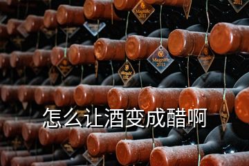 怎么讓酒變成醋啊