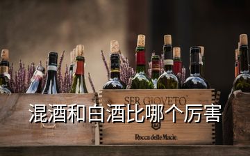 混酒和白酒比哪個(gè)厲害