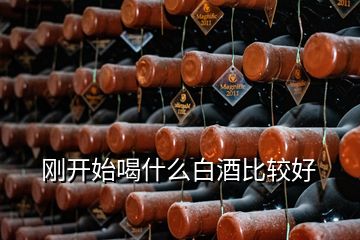 剛開(kāi)始喝什么白酒比較好