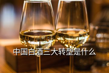 中國白酒三大轉(zhuǎn)型是什么