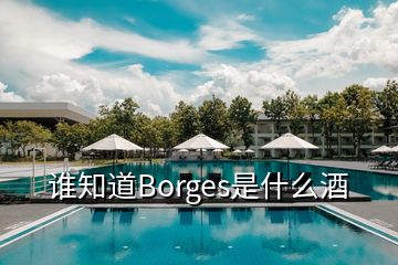 誰(shuí)知道Borges是什么酒