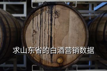 求山東省的白酒營(yíng)銷數(shù)據(jù)