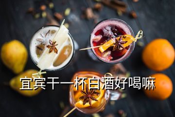 宜賓干一杯白酒好喝嘛