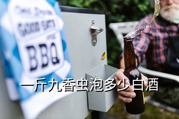 一斤九香蟲泡多少白酒