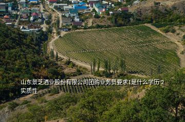 山東景芝酒業(yè)股份有限公司團(tuán)購(gòu)業(yè)務(wù)員要求1是什么學(xué)歷 2實(shí)質(zhì)性