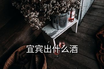 宜賓出什么酒