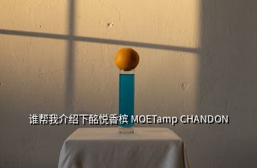 誰(shuí)幫我介紹下酩悅香檳 MOETamp CHANDON