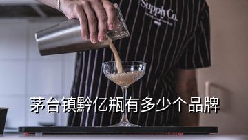 茅臺(tái)鎮(zhèn)黔億瓶有多少個(gè)品牌