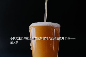 小桃無主自開花 煙草茫茫帶晚鴉 幾處敗圍故井 向業(yè)一一是人家