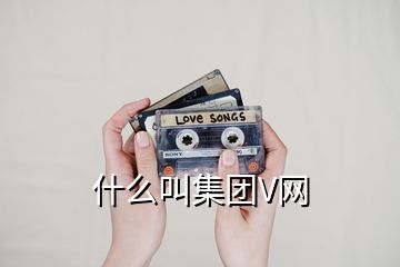 什么叫集團V網(wǎng)