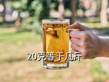 20克等于幾斤