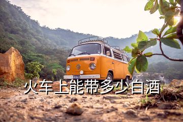 火車上能帶多少白酒