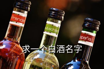 求一個(gè)白酒名字