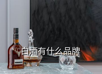 白酒有什么品牌