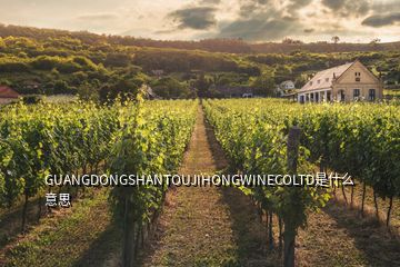 GUANGDONGSHANTOUJIHONGWINECOLTD是什么意思