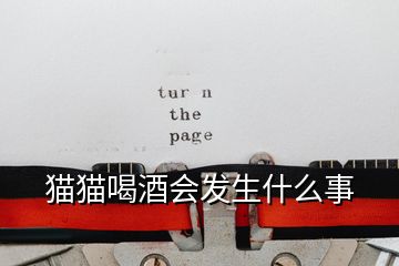 貓貓喝酒會(huì)發(fā)生什么事