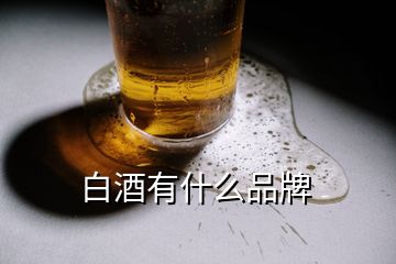 白酒有什么品牌