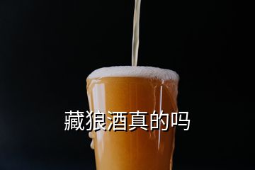 藏狼酒真的嗎