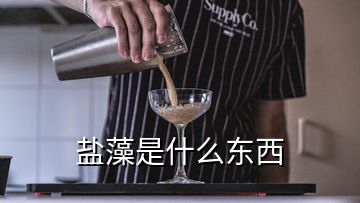 鹽藻是什么東西