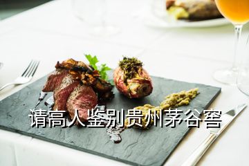 請(qǐng)高人鑒別貴州茅谷窖