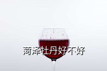 菏澤牡丹好不好