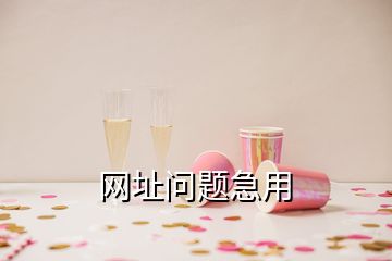 網(wǎng)址問(wèn)題急用