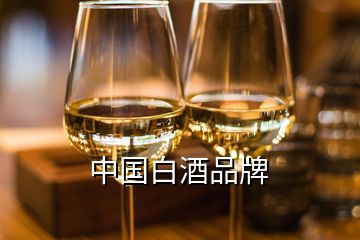 中國白酒品牌