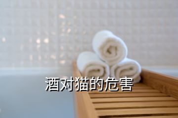 酒對(duì)貓的危害