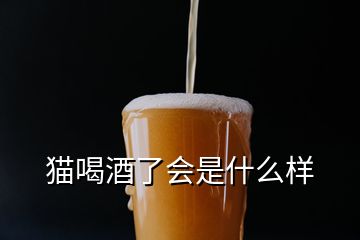 貓喝酒了會(huì)是什么樣