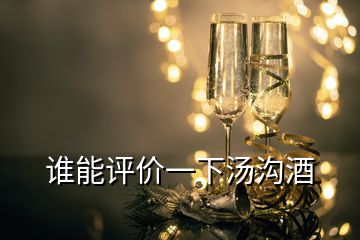 誰能評價一下湯溝酒