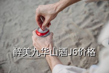 醉美九華山酒J6價格