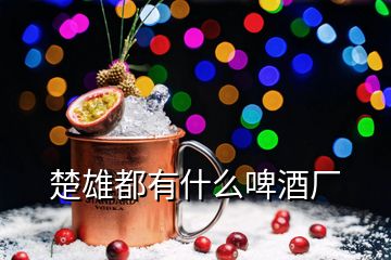 楚雄都有什么啤酒廠