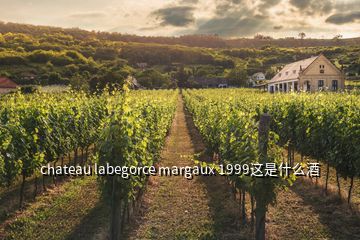 chateau labegorce margaux 1999這是什么酒