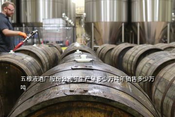 五糧液酒廠股份公司年生產(chǎn)量多少萬噸年銷售多少萬噸