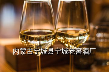 內(nèi)蒙古寧城縣寧城老窖酒廠