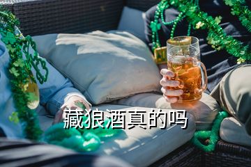 藏狼酒真的嗎