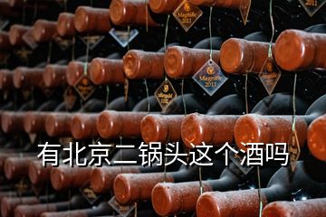 有北京二鍋頭這個(gè)酒嗎