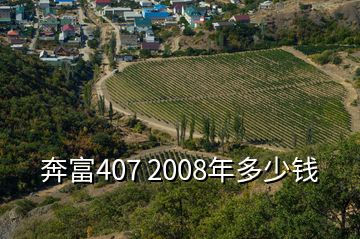 奔富407 2008年多少錢