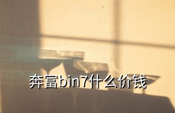 奔富bin7什么價(jià)錢