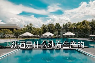 勁酒是什么地方生產(chǎn)的