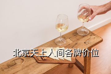 北京天上人間各牌價位