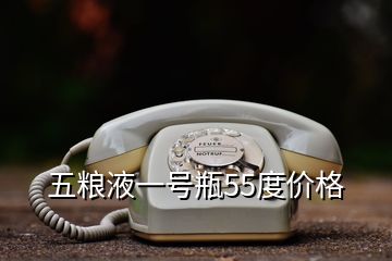 五糧液一號瓶55度價格