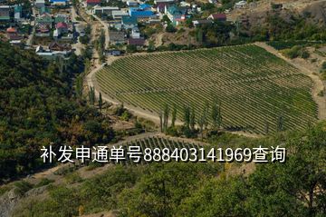 補發(fā)申通單號888403141969查詢