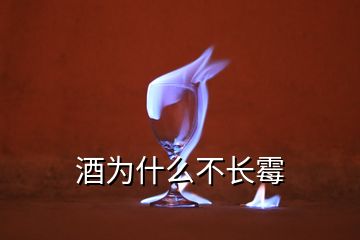 酒為什么不長(zhǎng)霉