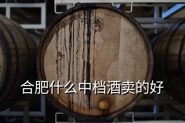 合肥什么中檔酒賣(mài)的好